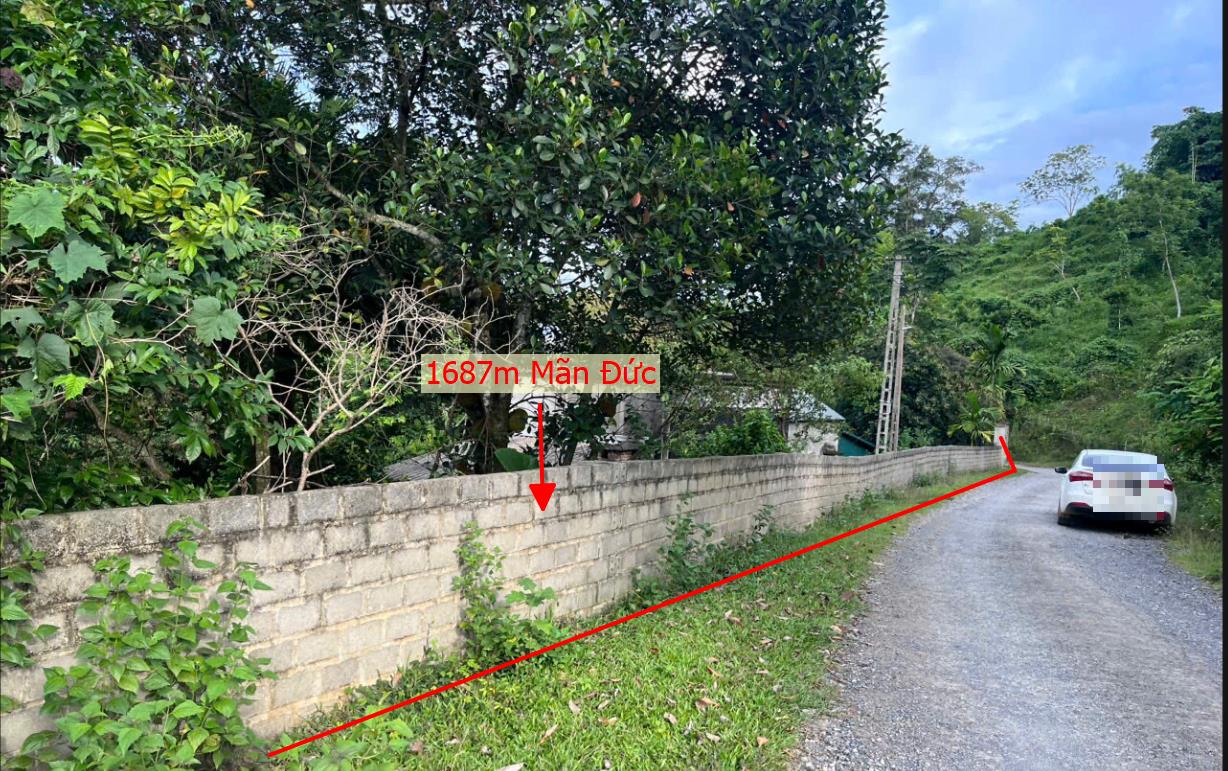 Hình ảnh Bán Lô Đất 1687m Tại Mãn Đức Tân Lạc Bám Đường Bê Tông Ô Tô Vào Tận Đất Dân Cư Đông Đúc Thân Thiện Giá Đầu Tư