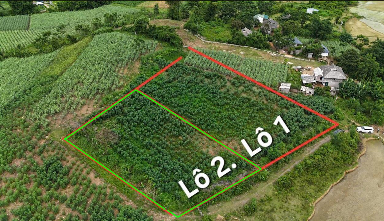 Hình ảnh Bán Lô Đất 1842.7m Tại Mỹ Hòa Tân Lạc Bám Đường Bê Tông Ô Tô Vào Tận Đất Dân Cư Đông Đúc Thân Thiện Giá Đầu Tư