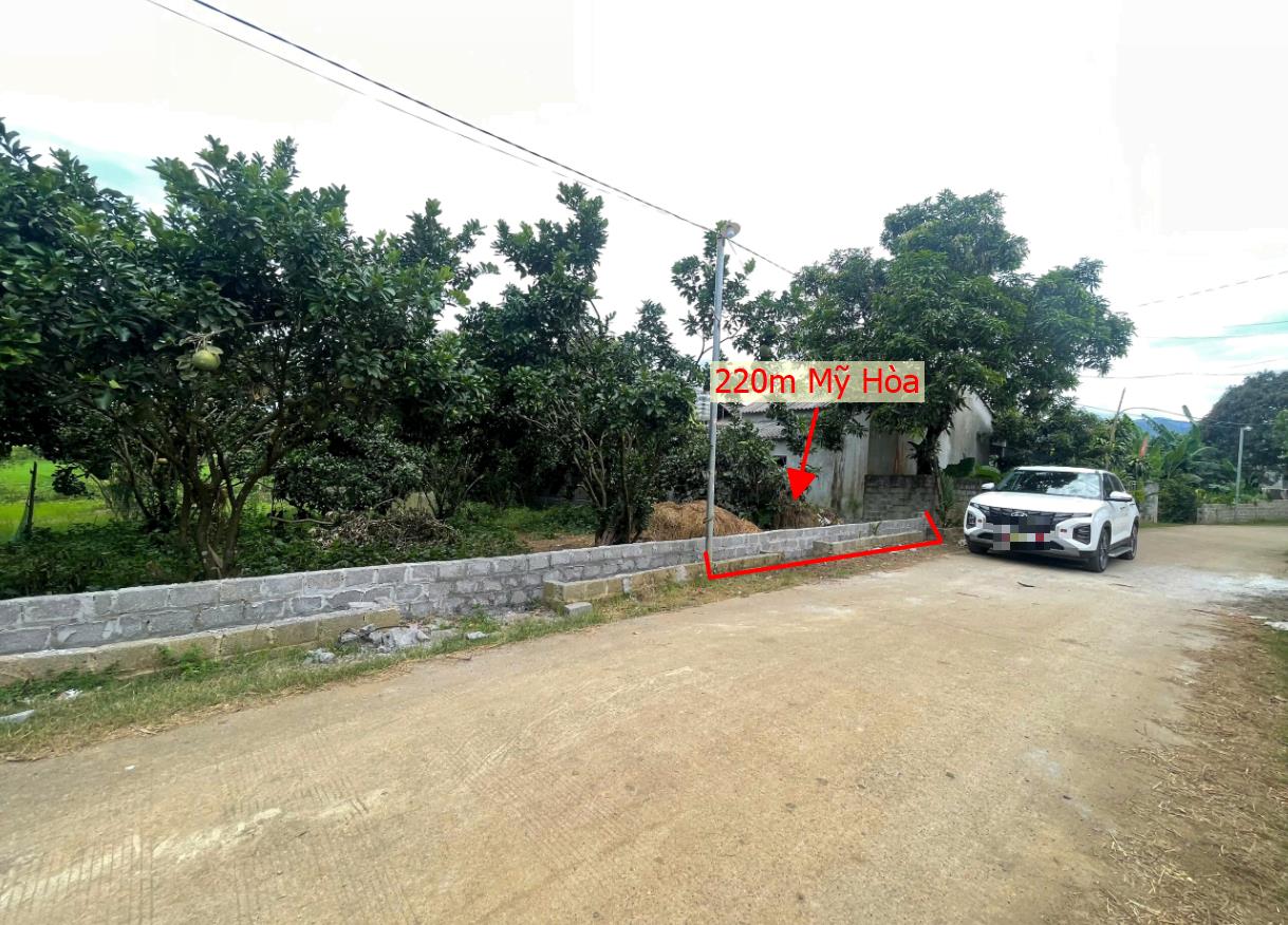 Hình ảnh Bán Lô Đất 220m Tại Mỹ Hòa Tân Lạc Bám Đường Bê Tông Ô Tô Vào Tận Đất Dân Cư Đông Đúc Thân Thiện Giá Đầu Tư