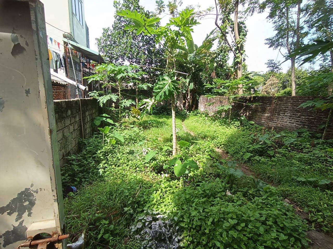 Hình ảnh Bán Thửa Đất 42,2m Ở Biên Giang Hà Đông
