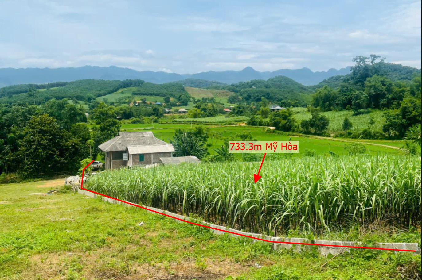 Hình ảnh Bán Lô Đất 733.3m Tại Mỹ Hòa Tân Lạc Bám Đường Bê Tông Ô Tô Vào Tận Đất Dân Cư Đông Đúc Thân Thiện Sổ Đỏ Pháp Lý Rõ Ràng Giá Đầu Tư