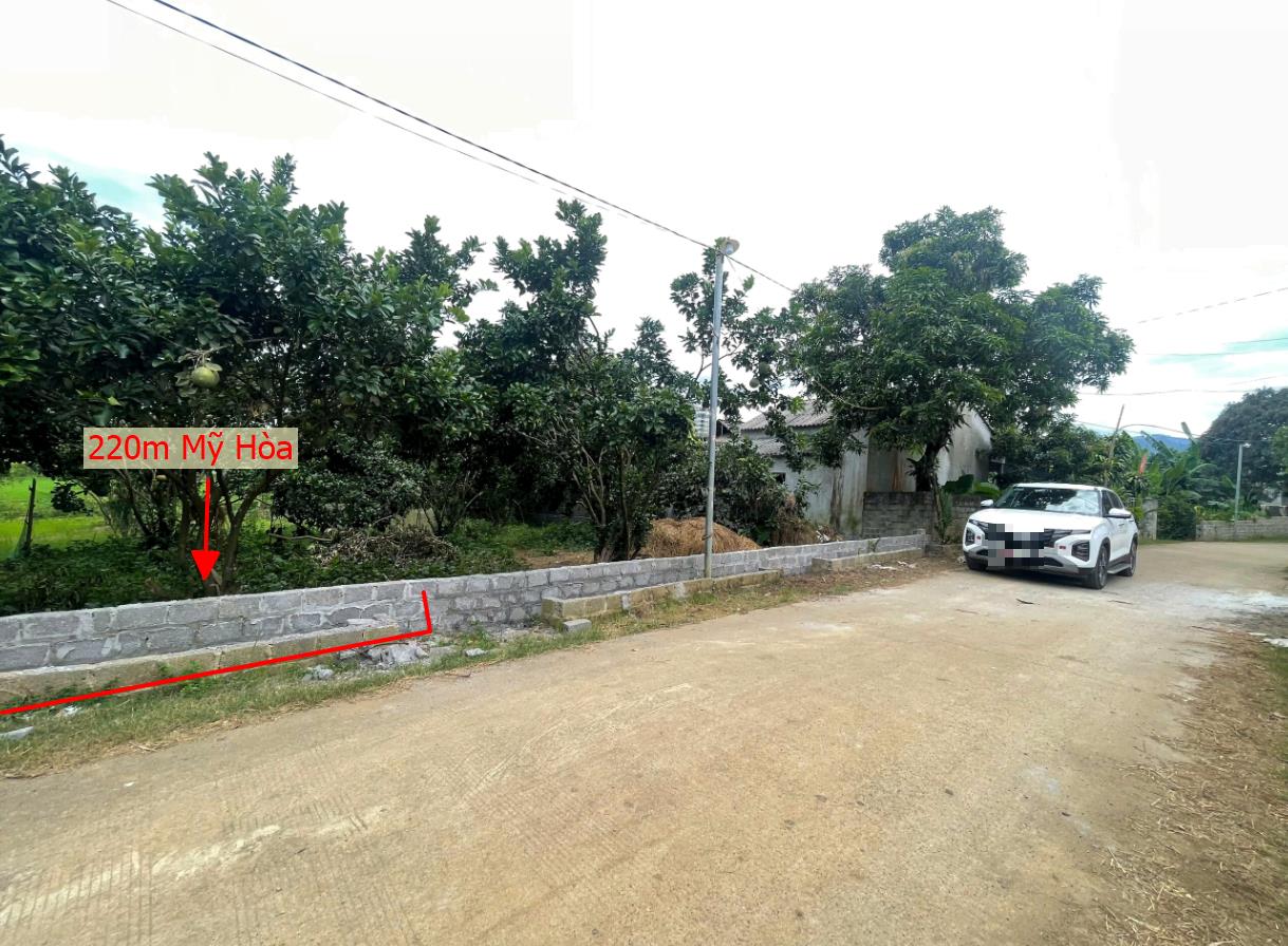 Hình ảnh Bán Lô Đất 220m Tại Mỹ Hòa Tân Lạc Bám Đường Bê Tông Ô Tô Vào Tận Đất Dân Cư Đông Đúc Thân Thiện Giá Đầu Tư
