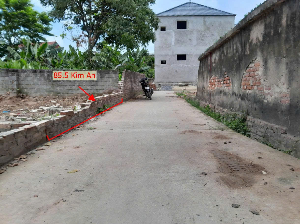 Hình ảnh Bán Đất Phân Lô Xã Kim An 85.5m Sát Trục Chính Kinh Doanh Liên Xã Giá Chỉ Vài Tỷ