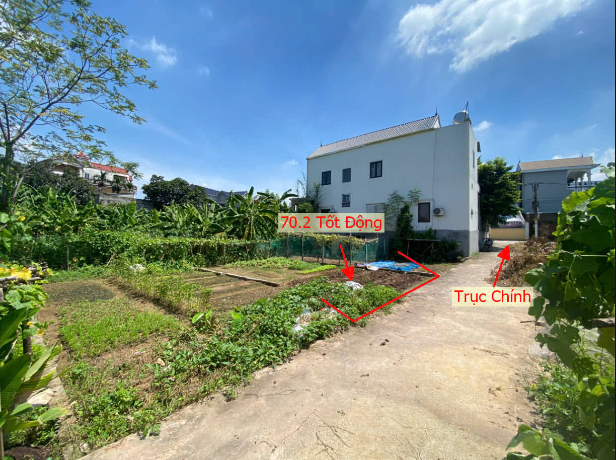 Hình ảnh Bán Đất Tốt Động Full Thổ Cư Ngay Gần Trục Chính Kinh Doanh Giá Chỉ Hơn Tỷ