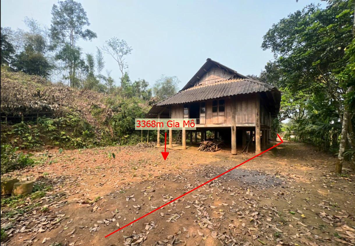 Hình ảnh Bán Lô Đất 3368m Tại Gia Mô Tân Lạc Bám Đường Bê Tông Ô Tô Vào Tận Đất Gần Chợ Trường Học Ủy Ban Giá Đầu Tư