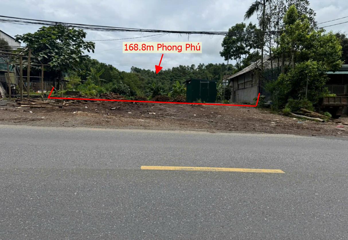 Hình ảnh Bán Lô Đất 168.8m Tại Phong Phú Tân Lạc Bám Đường Bê Tông Ô Tô Vào Tận Đất Dân Cư Đông Đúc Thân Thiện Bám Đường Ql6 Giá Đầu Tư