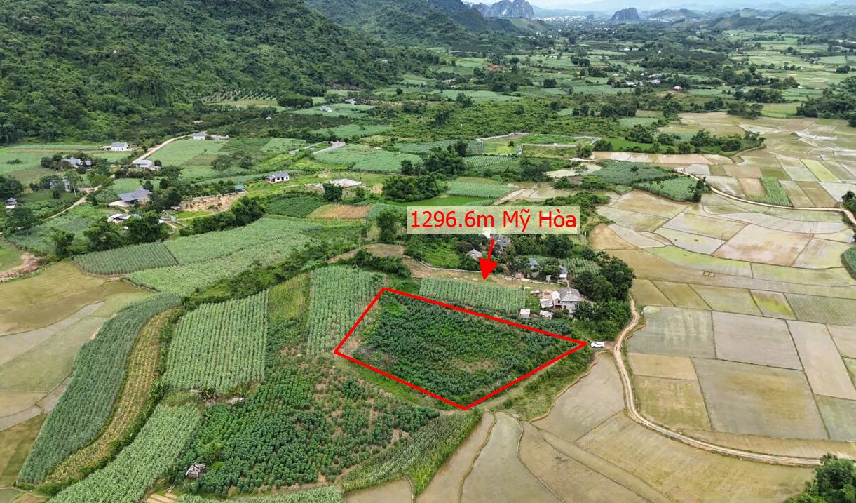 Hình ảnh Bán Lô Đất 1296.6m Tai Mỹ Hòa Tân Lạc Bám Đường Bê Tông Ô Tô Vào Tận Đất Dân Cư Đông Đúc Thân Thiện Phù Hợp Phân Lô Giá Đầu Tư