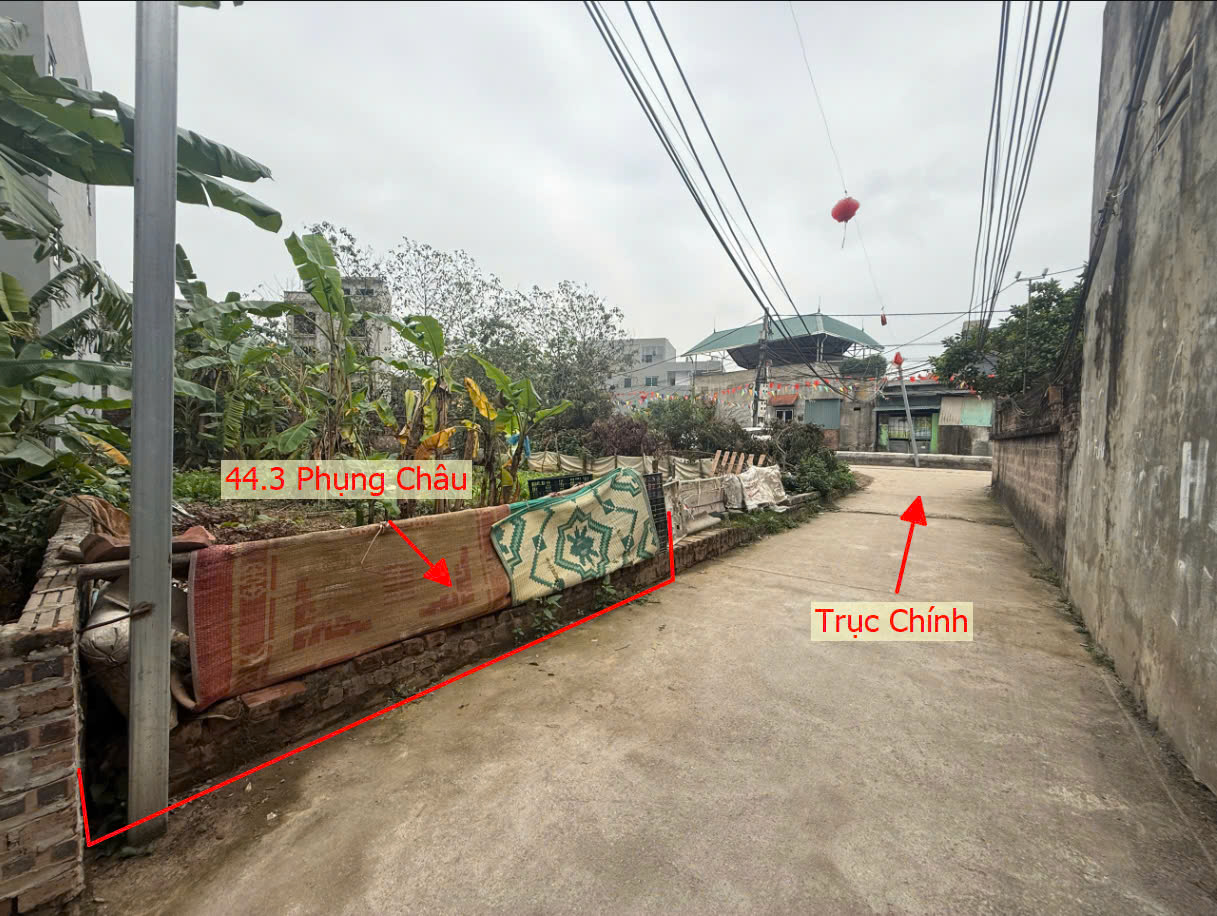 Hình ảnh Bán Thửa Đất 44,3M2 Ở Phụng Châu Chương Mỹ Sát Trục Chính Liên Huyện Gần Trung Tâm Hành Chính Xã