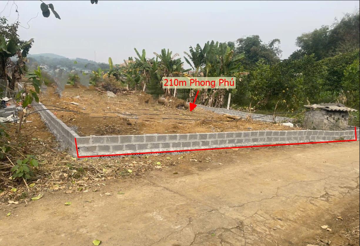 Hình ảnh Bán Lô Đất 210m Tại Phong Phú Tân Lạc Bám Đường Bê Tông Ô Tô Vào Tận Đất Dân Cư Đông Đúc Thân Thiện Giá Đầu Tư