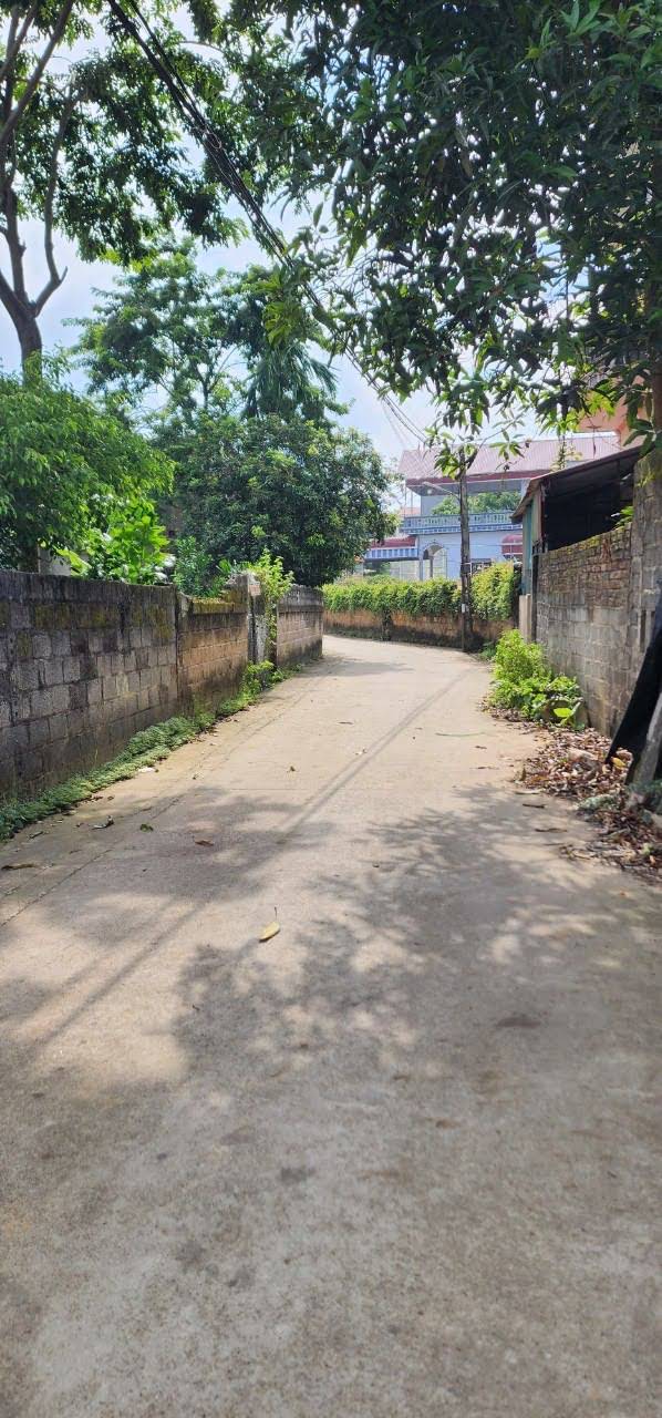 Hình ảnh Bán Thửa Đất 130m Full Thổ Cư Ở Thủy Xuân Tiên Chương Mỹ
