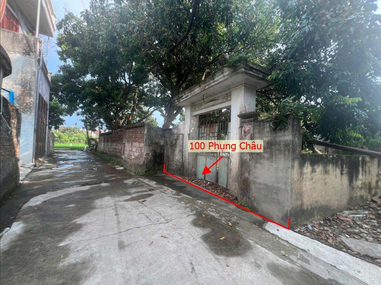 Hình ảnh Bán Đất Full Thổ Cư 100m Tại Phụng Châu Ô Tô Đỗ Tận Đất Sát Trục Chính Kinh Doanh Liên Xã